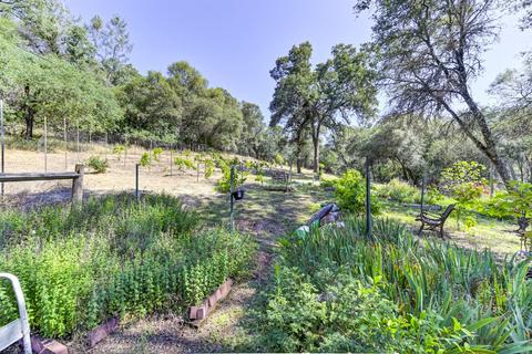 1501 Quail Run Rd, Placerville, CA 95667 photo 34