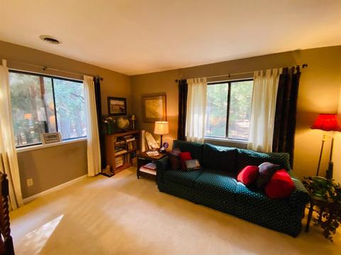 20267 Kit Ct, Volcano, CA 95689 photo 23