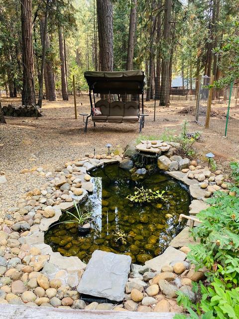 20267 Kit Ct, Volcano, CA 95689 photo 12