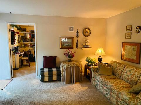 20267 Kit Ct, Volcano, CA 95689 photo 31