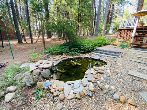 20267 Kit Ct, Volcano, CA 95689 photo 14