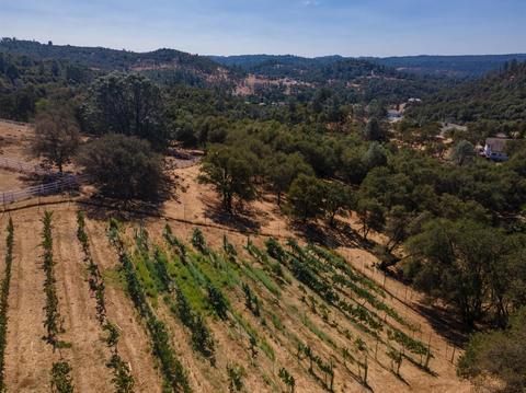 5412 Cowhide Ct, Placerville, CA 95667 photo 20