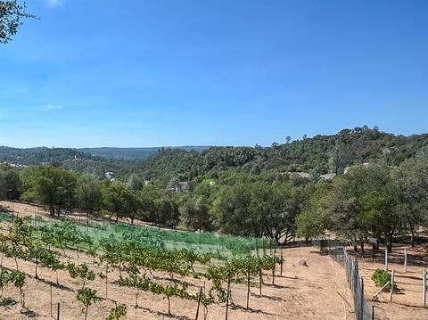 5412 Cowhide Ct, Placerville, CA 95667 photo 18