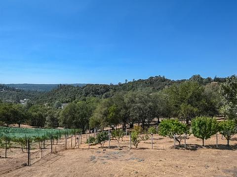5412 Cowhide Ct, Placerville, CA 95667 photo 19