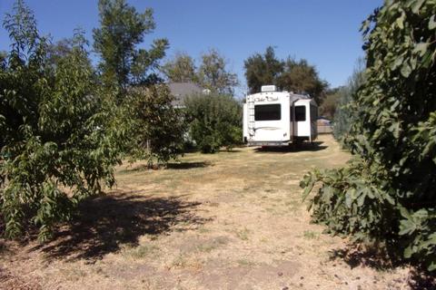 18416 E Walnut St, Clements, CA 95227 photo 26