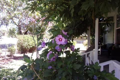 18416 E Walnut St, Clements, CA 95227 photo 33