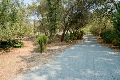 10320 Wise Rd, Auburn, CA 95603 photo 30