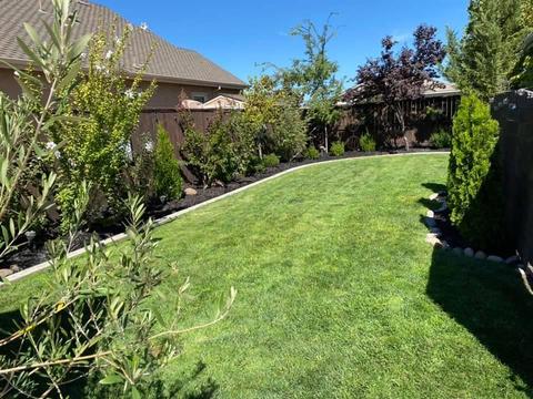 362 Clendenin Pkwy, Ripon, CA 95366 photo 50