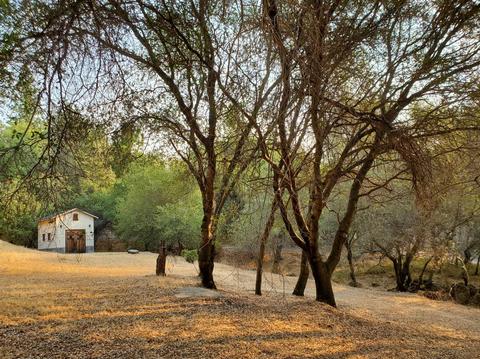 3446 Pats Ln, Placerville, CA 95667 photo 17
