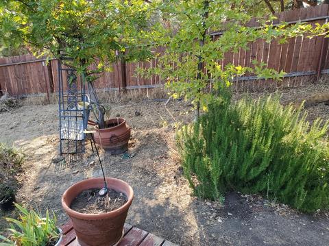 3446 Pats Ln, Placerville, CA 95667 photo 14