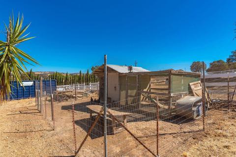 6230 Stony Creek Rd, Jackson, CA 95642 photo 25