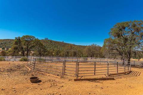 6230 Stony Creek Rd, Jackson, CA 95642 photo 88