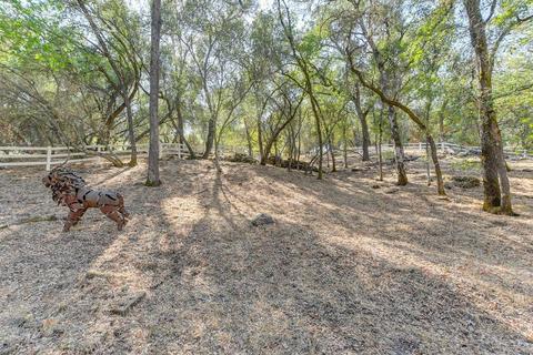 1970 Stagecoach Rd, Placerville, CA 95667 photo 64