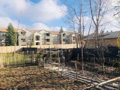 2724 Roselle Ave, Modesto, CA 95355 photo 7