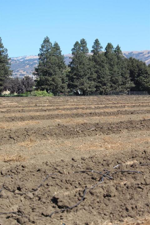 7050 Holsclaw Rd, Gilroy, CA 95020 photo 8