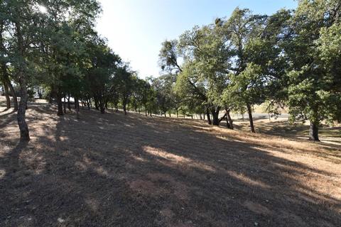 4400 Sonja Ct, Placerville, CA 95667 photo 47