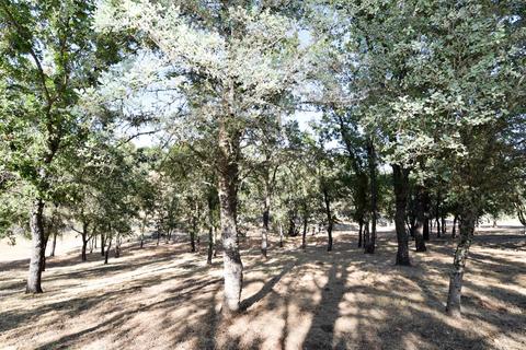 4400 Sonja Ct, Placerville, CA 95667 photo 46