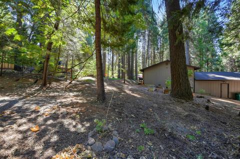 2841 Maple Ave, Pollock Pines, CA 95726 photo 46
