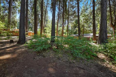 2841 Maple Ave, Pollock Pines, CA 95726 photo 36