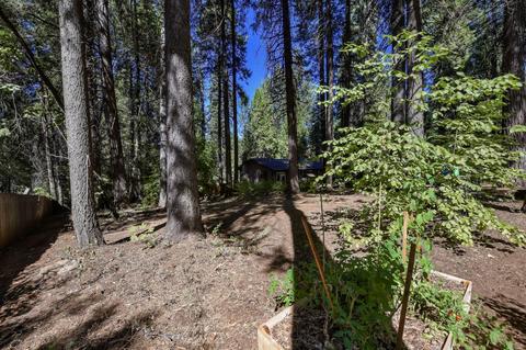 2841 Maple Ave, Pollock Pines, CA 95726 photo 40