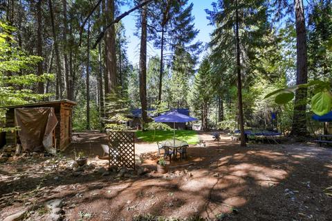2841 Maple Ave, Pollock Pines, CA 95726 photo 45