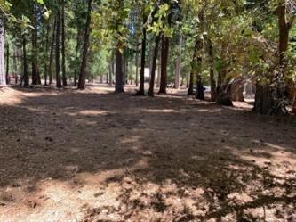 20181 Prairie Dr, Volcano, CA 95689 photo 2