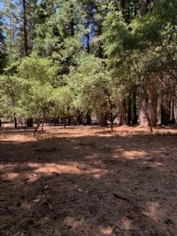 20181 Prairie Dr, Volcano, CA 95689 photo 1