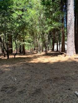 20181 Prairie Dr, Volcano, CA 95689 photo 5
