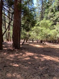 20181 Prairie Dr, Volcano, CA 95689 photo 3
