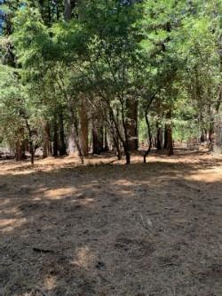 20181 Prairie Dr, Volcano, CA 95689 photo 4