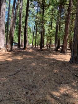 20181 Prairie Dr, Volcano, CA 95689 photo 6