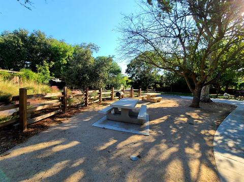 107 Huerta Pl, Davis, CA 95616 photo 23