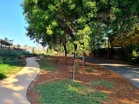 107 Huerta Pl, Davis, CA 95616 photo 28