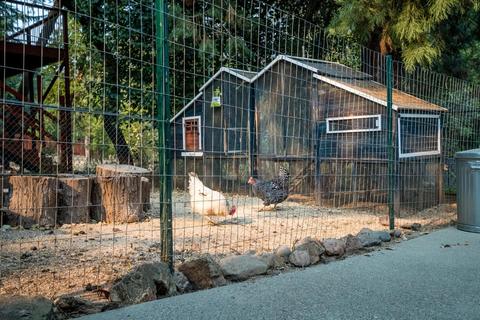 2856 Hilltop Dr, Placerville, CA 95667 photo 45