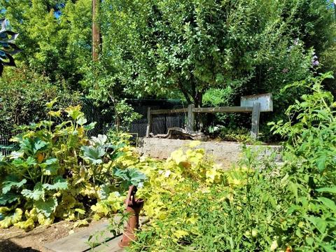 147 Empire St, Grass Valley, CA 95945 photo 25