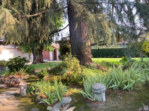 539 Locust St, Modesto, CA 95351 photo 20