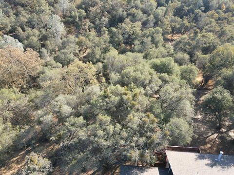 874 Plum Dr, Pilot Hill, CA 95664 photo 9