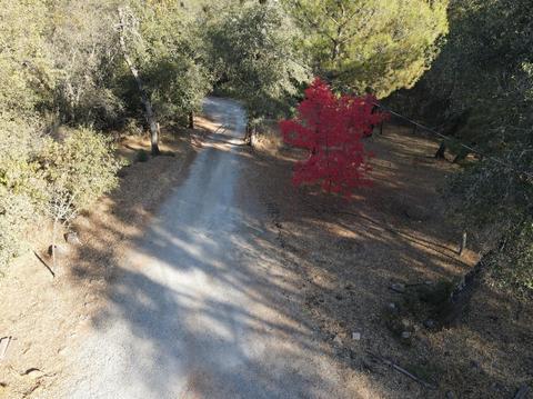 874 Plum Dr, Pilot Hill, CA 95664 photo 17