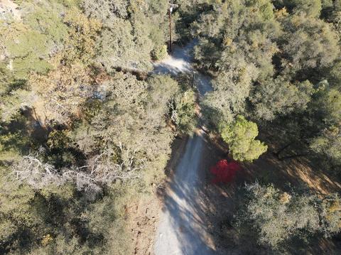 874 Plum Dr, Pilot Hill, CA 95664 photo 10