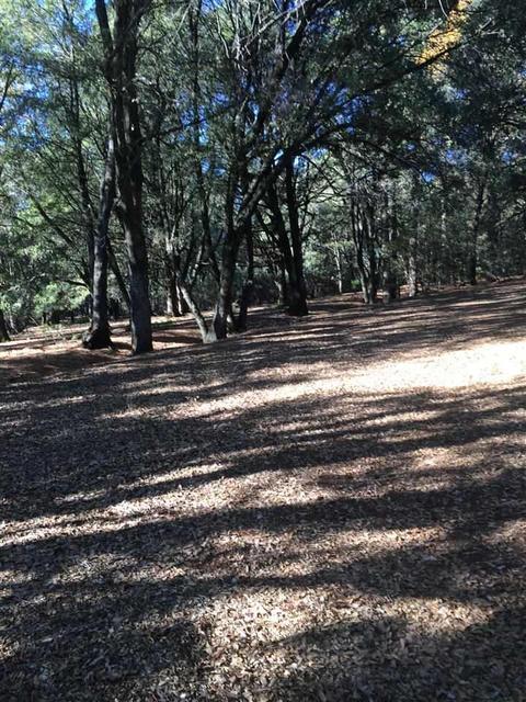19435 Ridge Rd, Pine Grove, CA 95665 photo 2