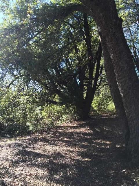 19435 Ridge Rd, Pine Grove, CA 95665 photo 1