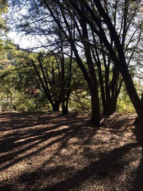19435 Ridge Rd, Pine Grove, CA 95665 photo 3