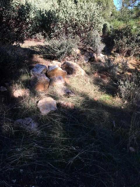 19435 Ridge Rd, Pine Grove, CA 95665 photo 7