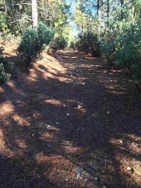 19435 Ridge Rd, Pine Grove, CA 95665 photo 8