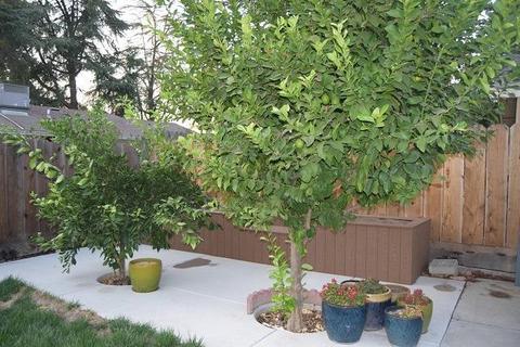 2021 Enfield Way, Modesto, CA 95355 photo 21