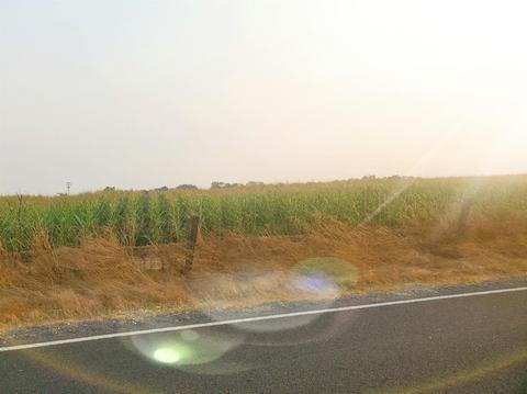 5882 E Collier Rd, Acampo, CA 95220 photo 49