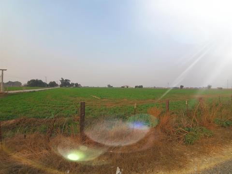 5882 E Collier Rd, Acampo, CA 95220 photo 45