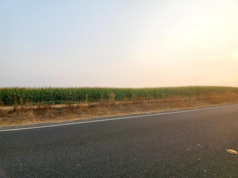 5882 E Collier Rd, Acampo, CA 95220 photo 46