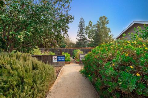 1818 Moore Blvd #221, Davis, CA 95618 photo 19