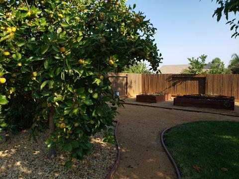 11018 Biddeford Cir, Mather, CA 95655 photo 14